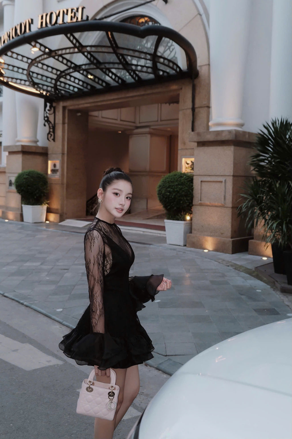 Velours Noir Dress