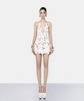 Lalaney Dress